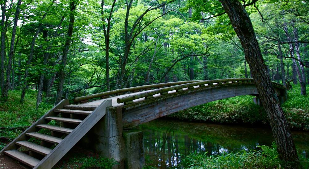 奥日光緑道＆戦場ヶ原ハイキングコースの写真3