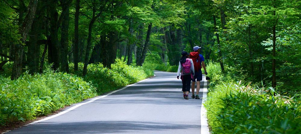 奥日光緑道＆戦場ヶ原ハイキングコースの写真4