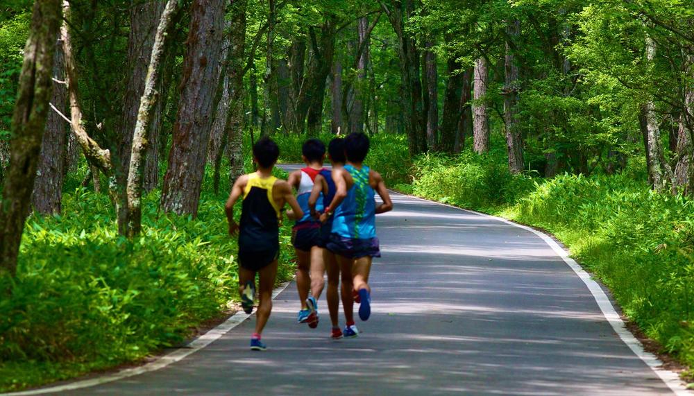 奥日光緑道＆戦場ヶ原ハイキングコースの写真6