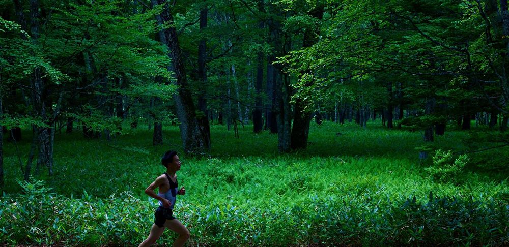 奥日光緑道＆戦場ヶ原ハイキングコースの写真8