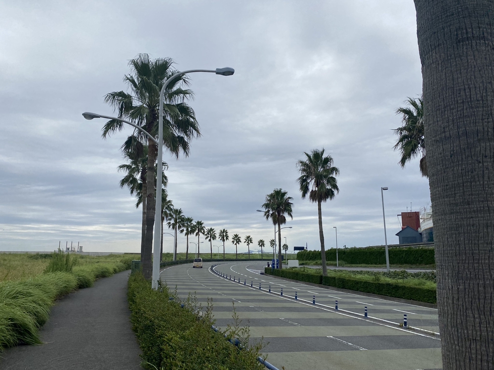 TDL＆浦安市運動公園切り取りランの写真4