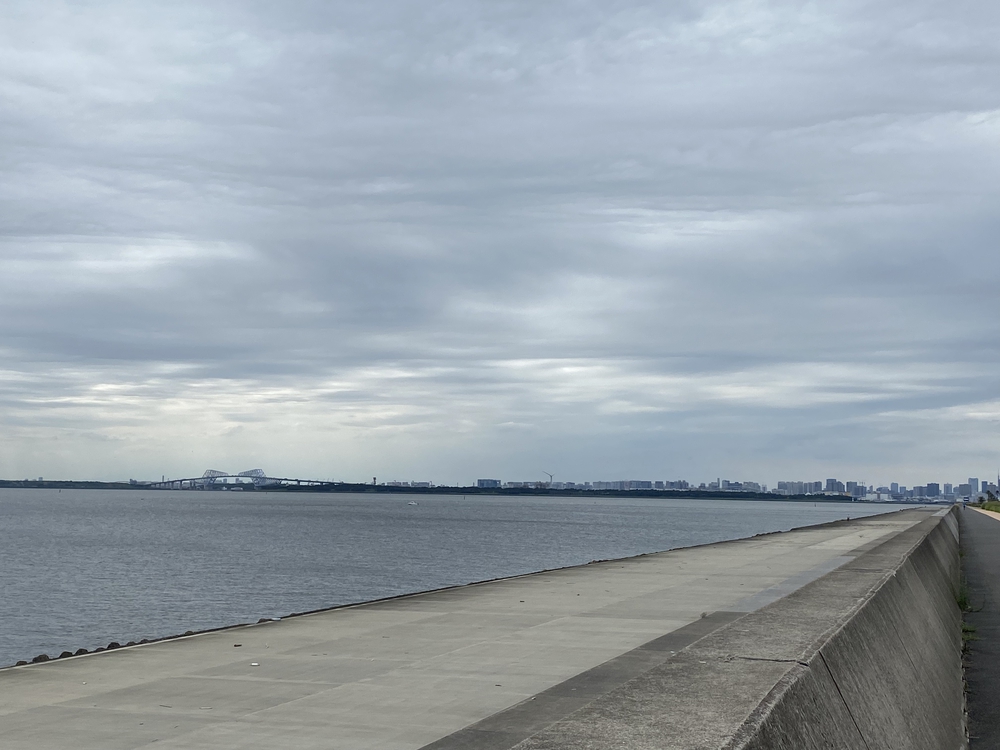 TDL＆浦安市運動公園切り取りランの写真6