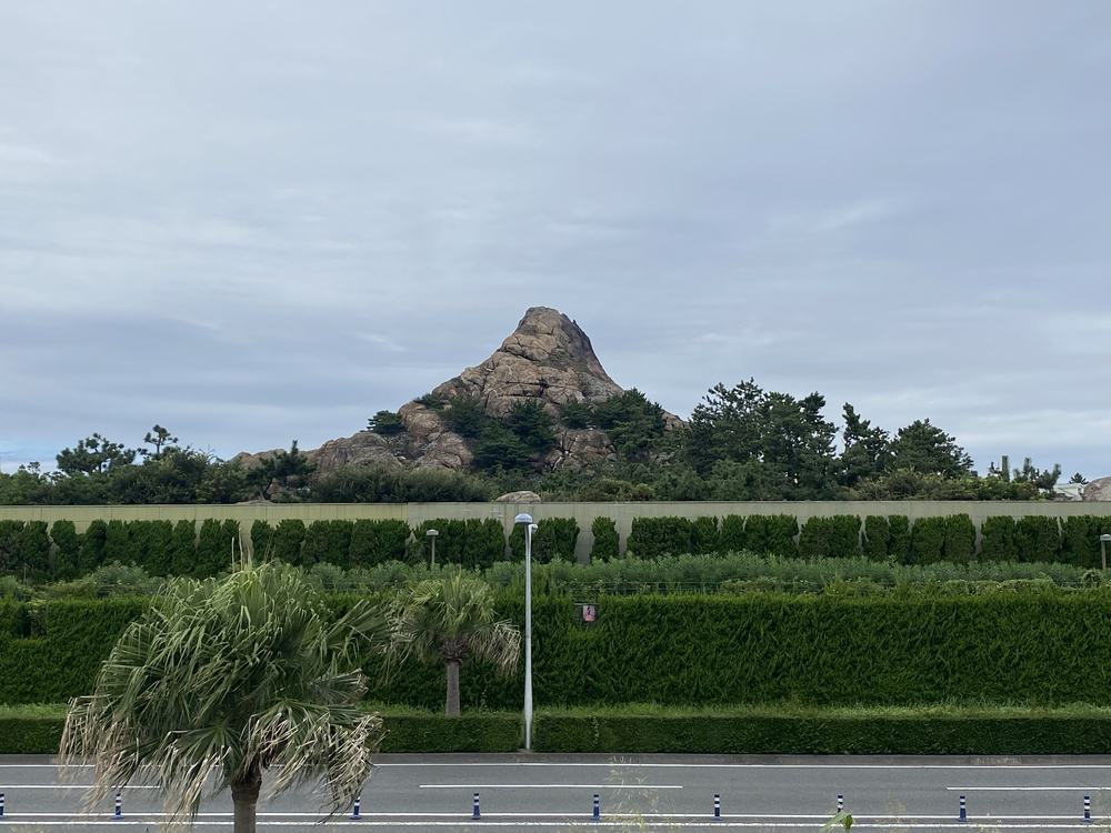 TDL＆浦安市運動公園切り取りランの写真9