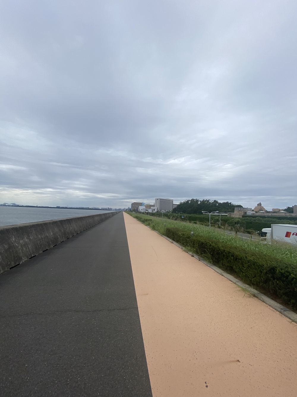 TDL＆浦安市運動公園切り取りランの写真10