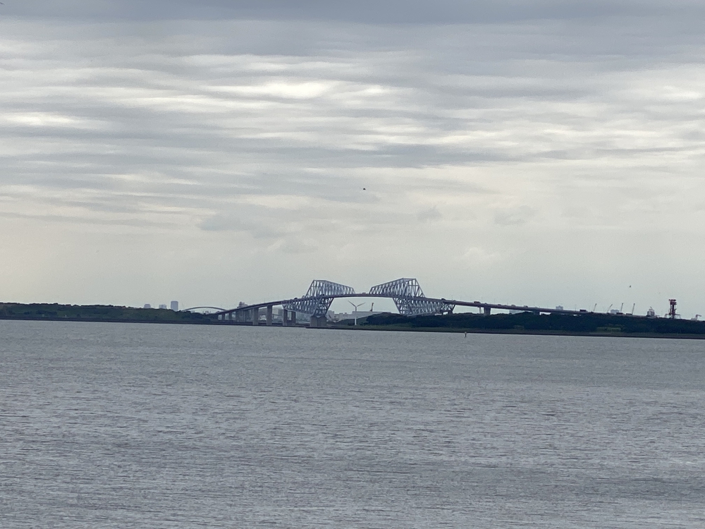 TDL＆浦安市運動公園切り取りランの写真11