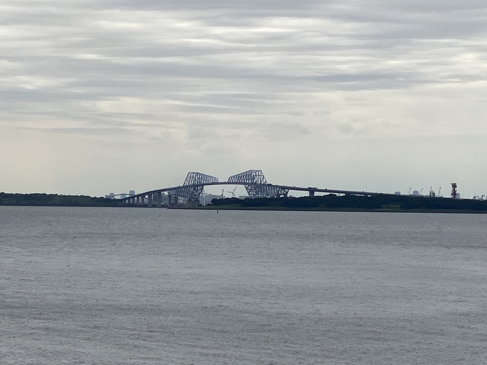 TDL＆浦安市運動公園切り取りランの写真13