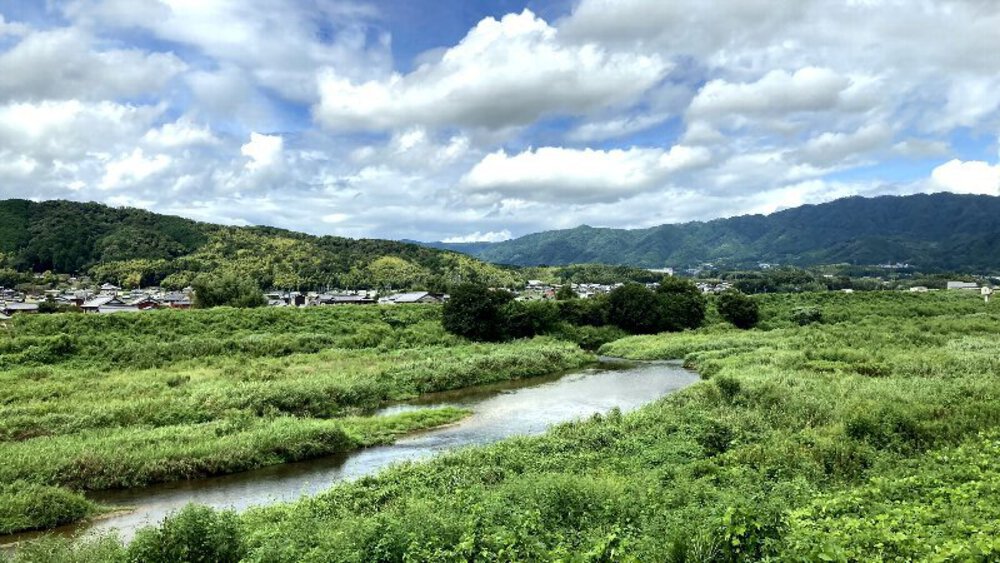 【伊賀から山城へ】大和街道を行くの写真12