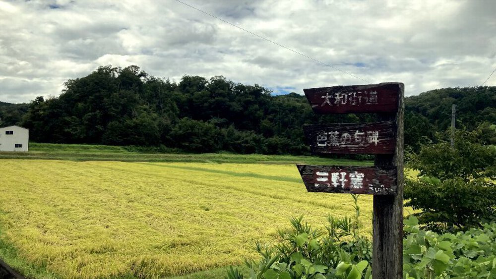 【伊賀から山城へ】大和街道を行くの写真13
