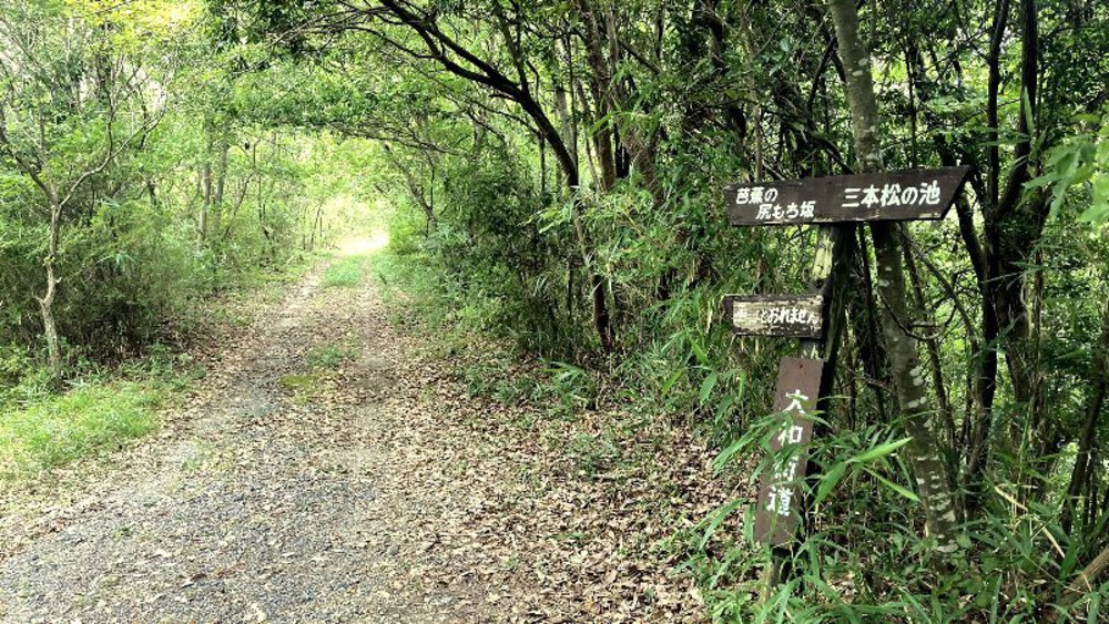 【伊賀から山城へ】大和街道を行くの写真15
