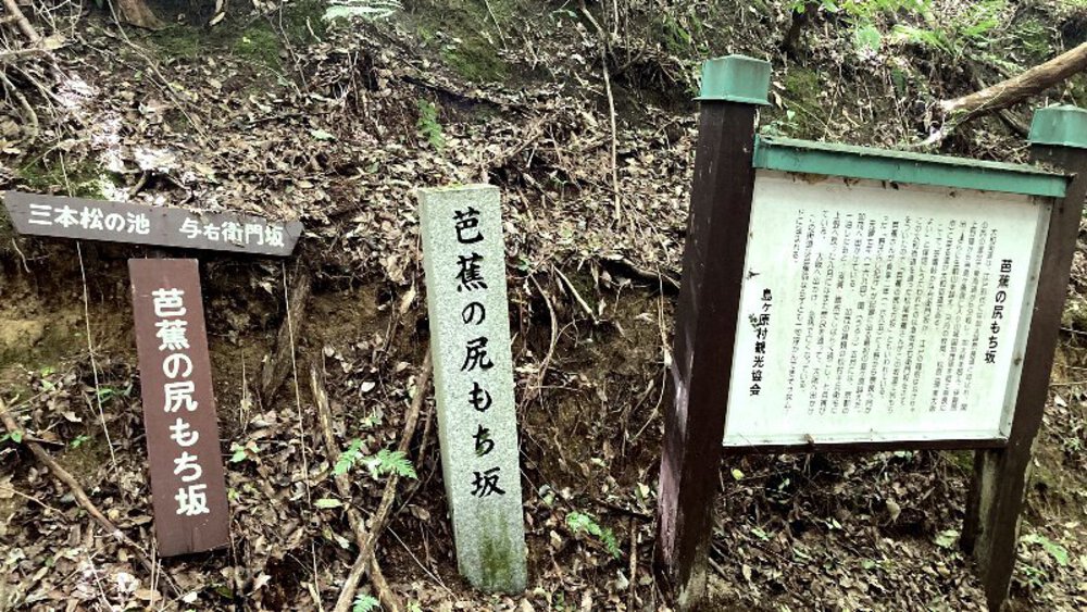 【伊賀から山城へ】大和街道を行くの写真16