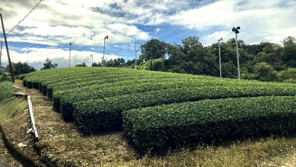 【伊賀から山城へ】大和街道を行くの写真23