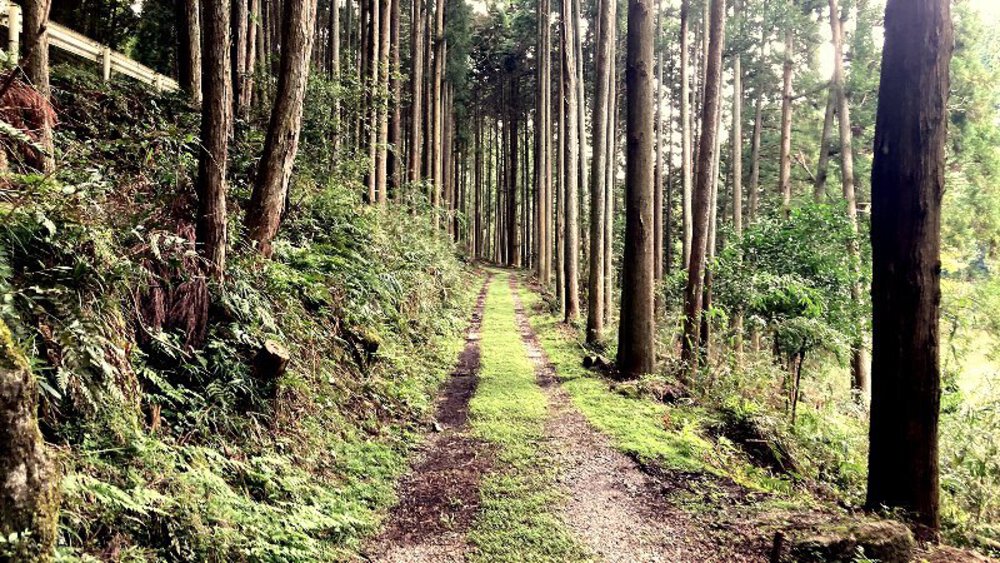 【伊賀から山城へ】大和街道を行くの写真27