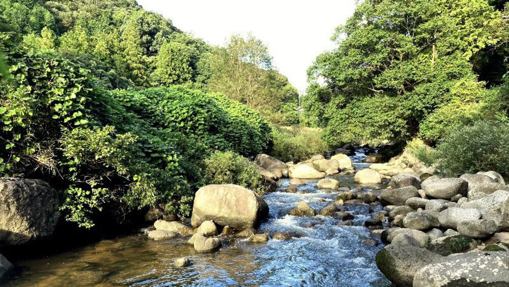 【伊賀から山城へ】大和街道を行くの写真30