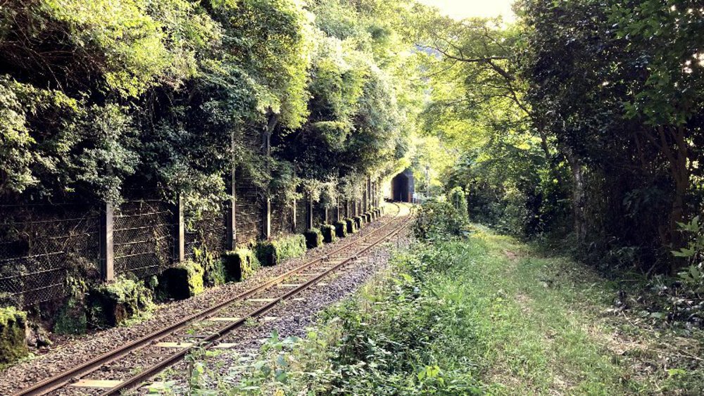 【伊賀から山城へ】大和街道を行くの写真31