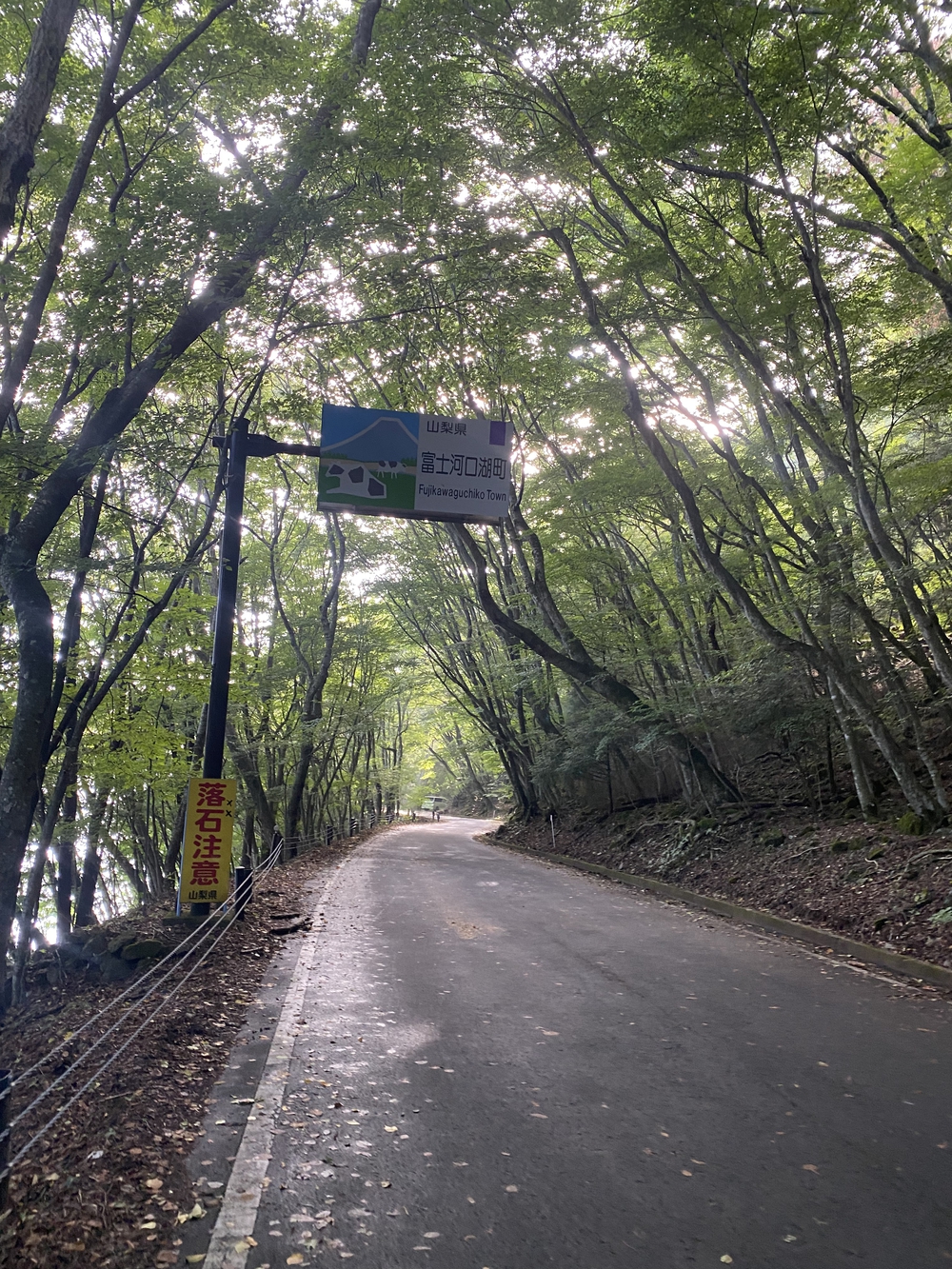 自然豊かな本栖湖一周12kmの写真6