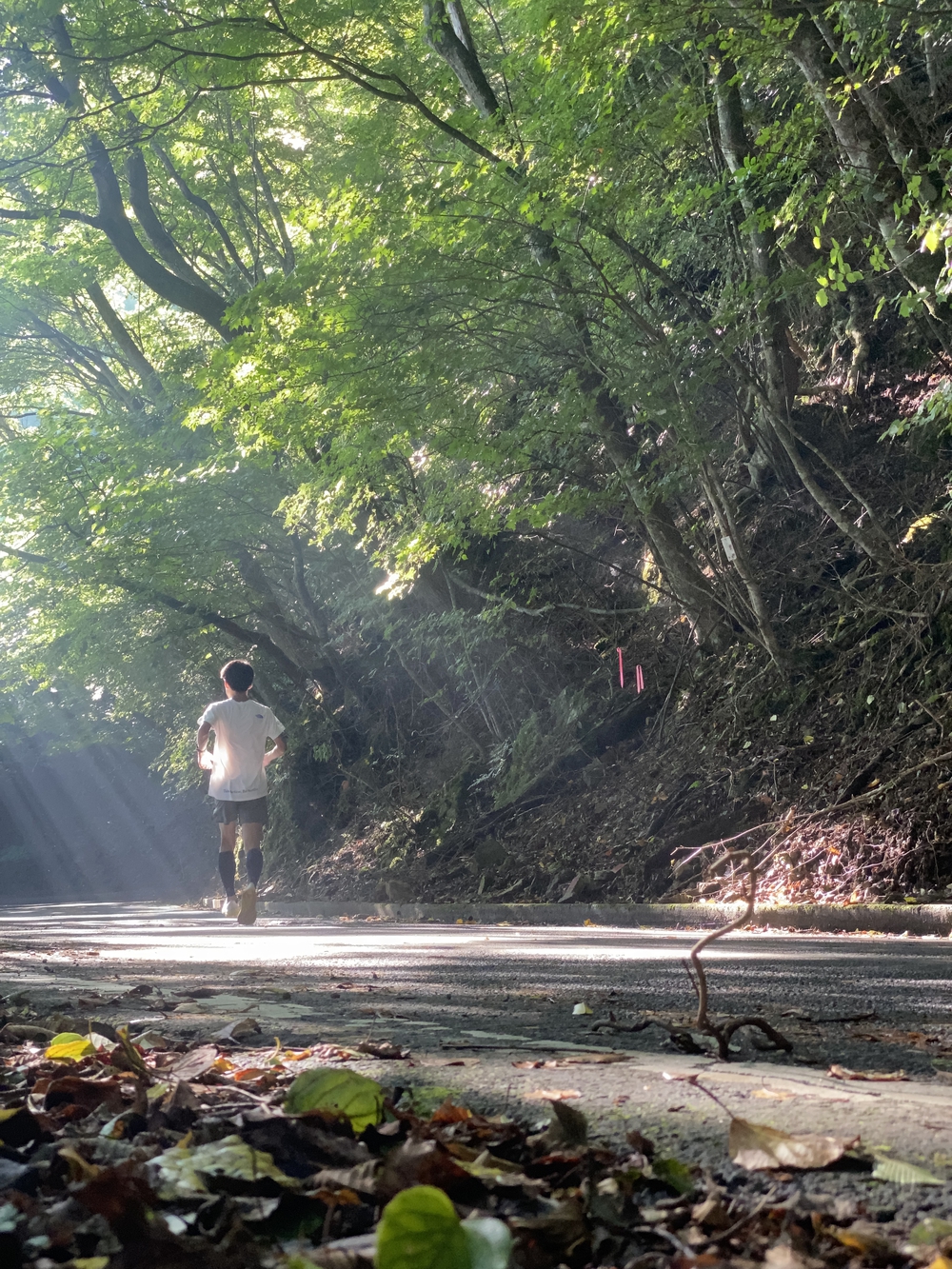 自然豊かな本栖湖一周12kmの写真7