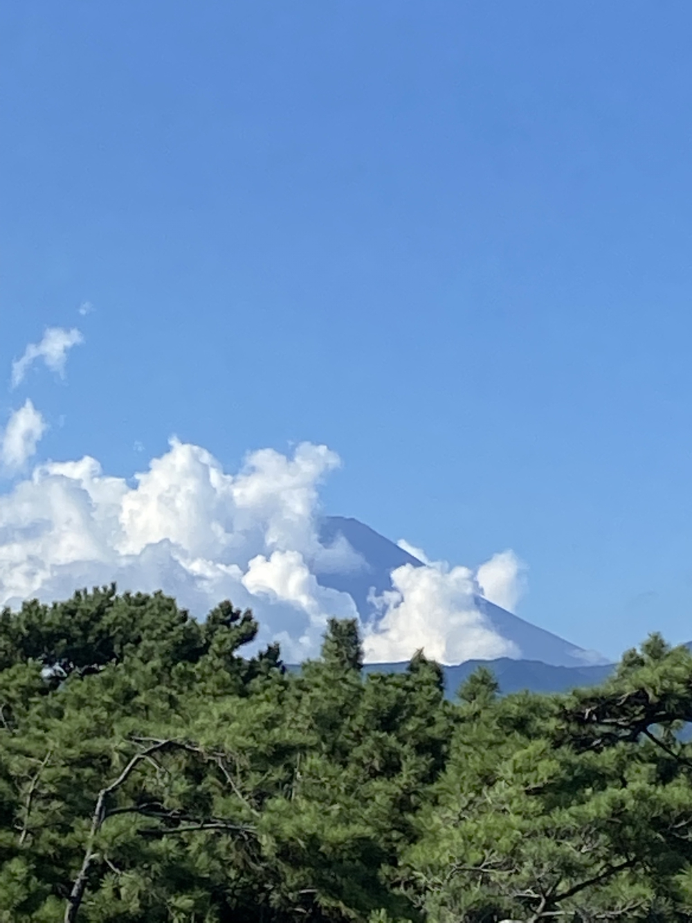 沼津の千本松はロードとトレイル二刀流コース❗️の写真8