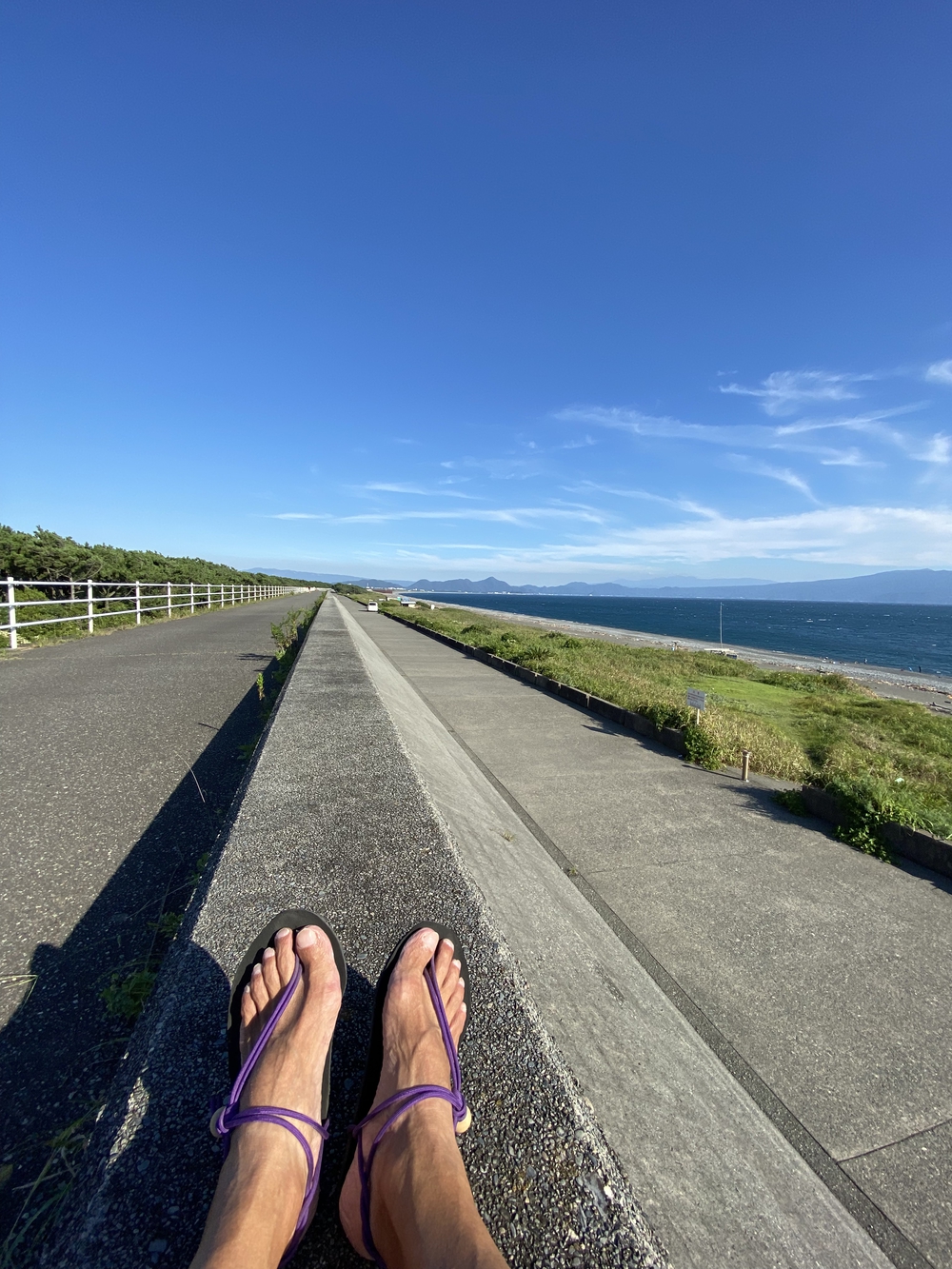 沼津の千本松はロードとトレイル二刀流コース❗️の写真10