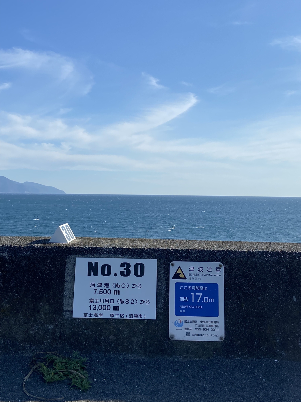 沼津の千本松はロードとトレイル二刀流コース❗️の写真11