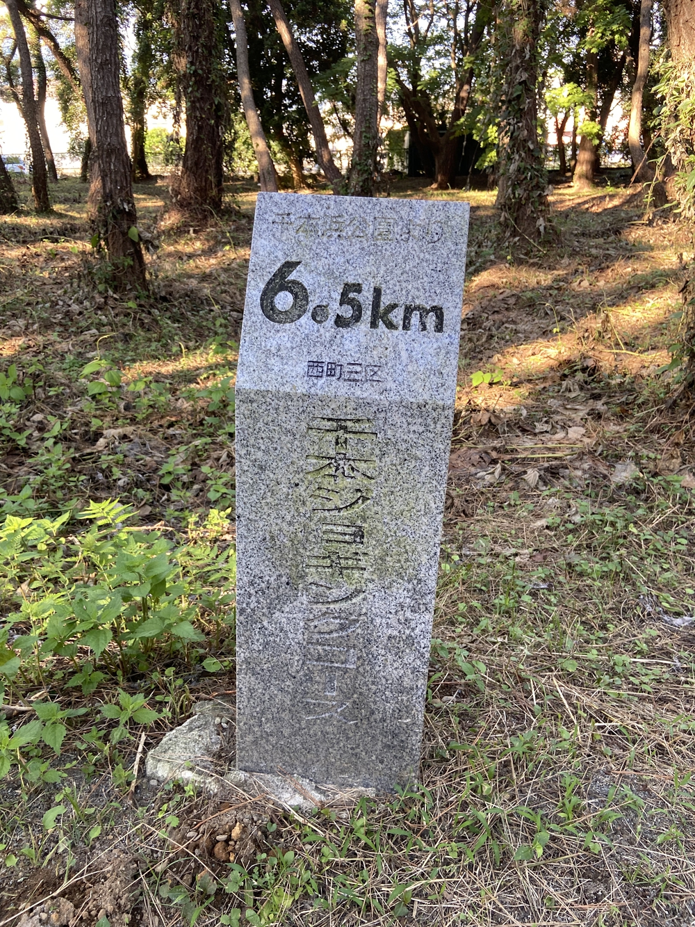 沼津の千本松はロードとトレイル二刀流コース❗️の写真15