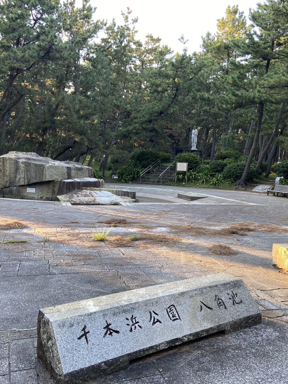 沼津の千本松はロードとトレイル二刀流コース❗️の写真25