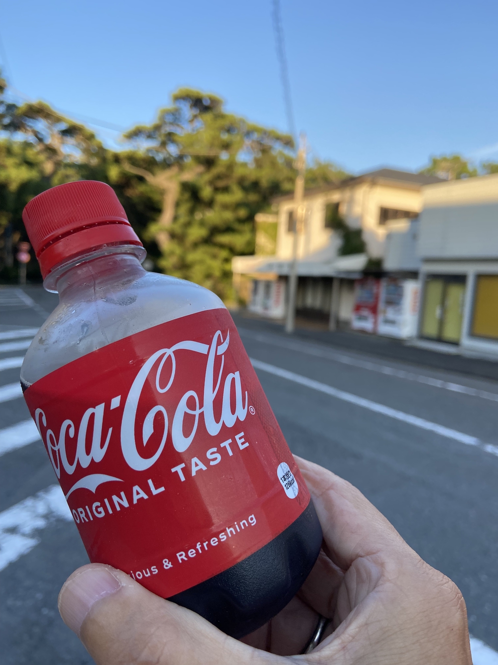 沼津の千本松はロードとトレイル二刀流コース❗️の写真26