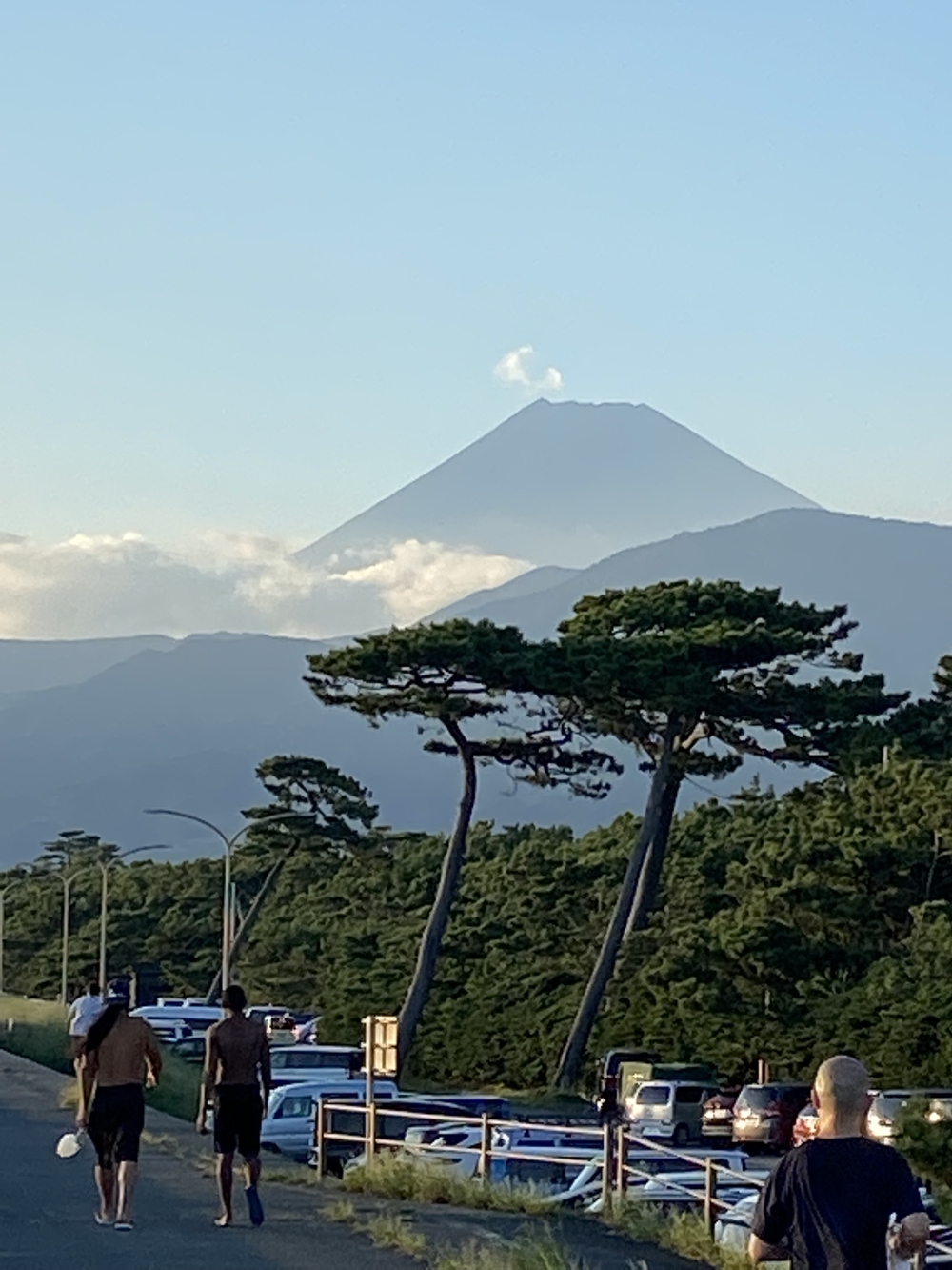 沼津の千本松はロードとトレイル二刀流コース❗️の写真27