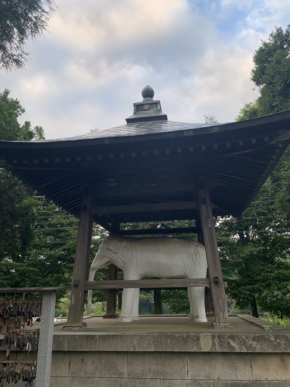 【トレイル】飯能 天覧山〜多峯主山周回の写真3