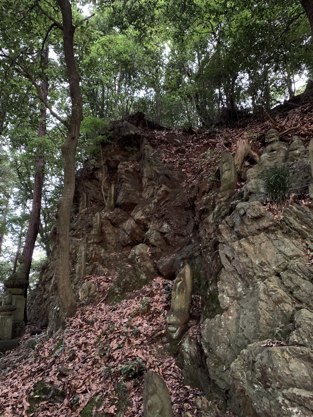 【トレイル】飯能 天覧山〜多峯主山周回の写真6