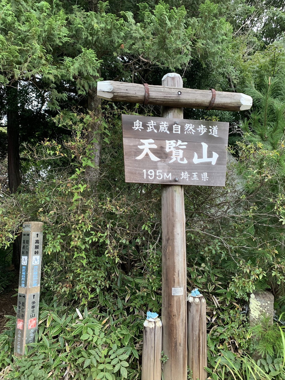 【トレイル】飯能 天覧山〜多峯主山周回の写真8