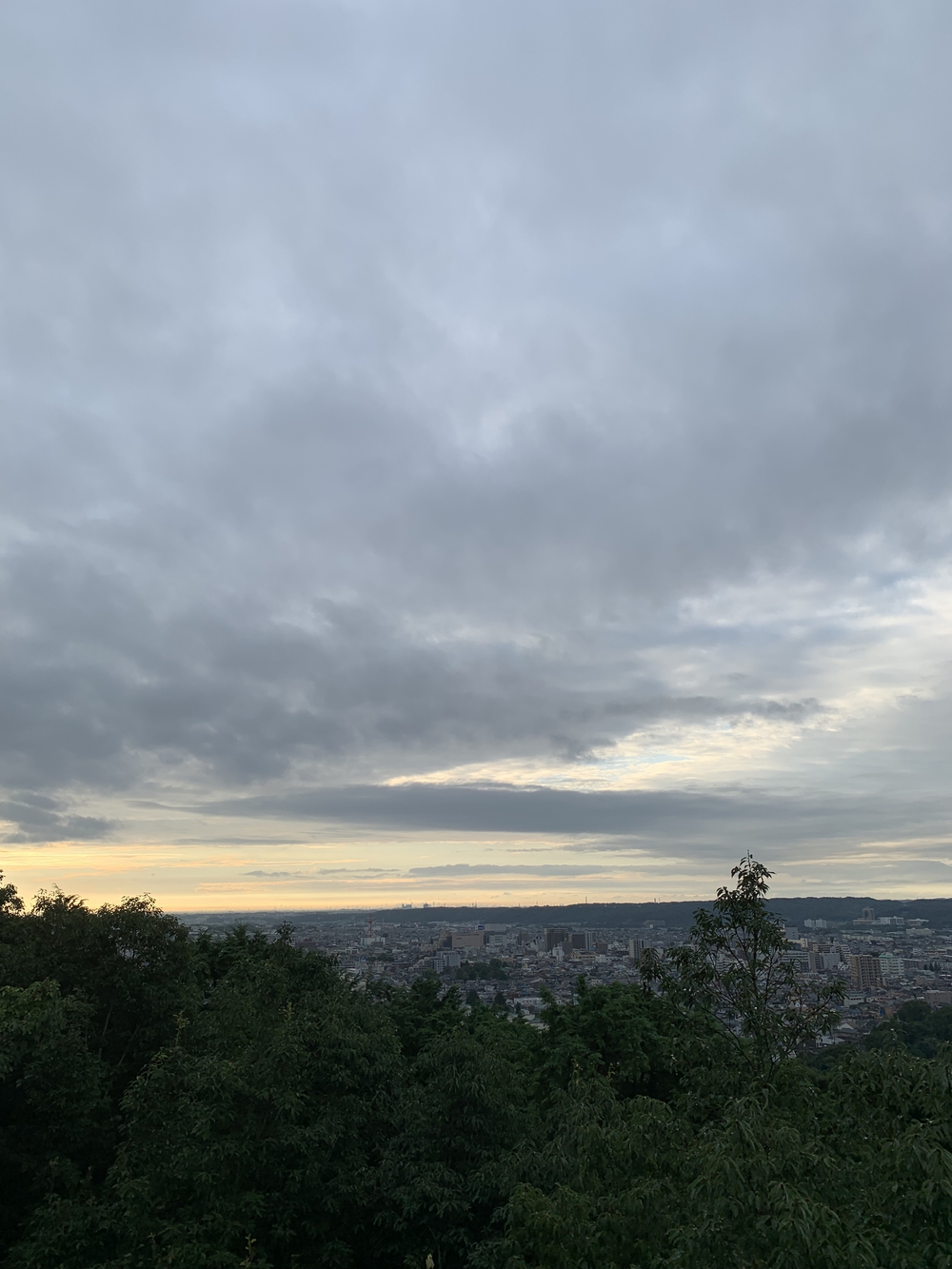 【トレイル】飯能 天覧山〜多峯主山周回の写真9