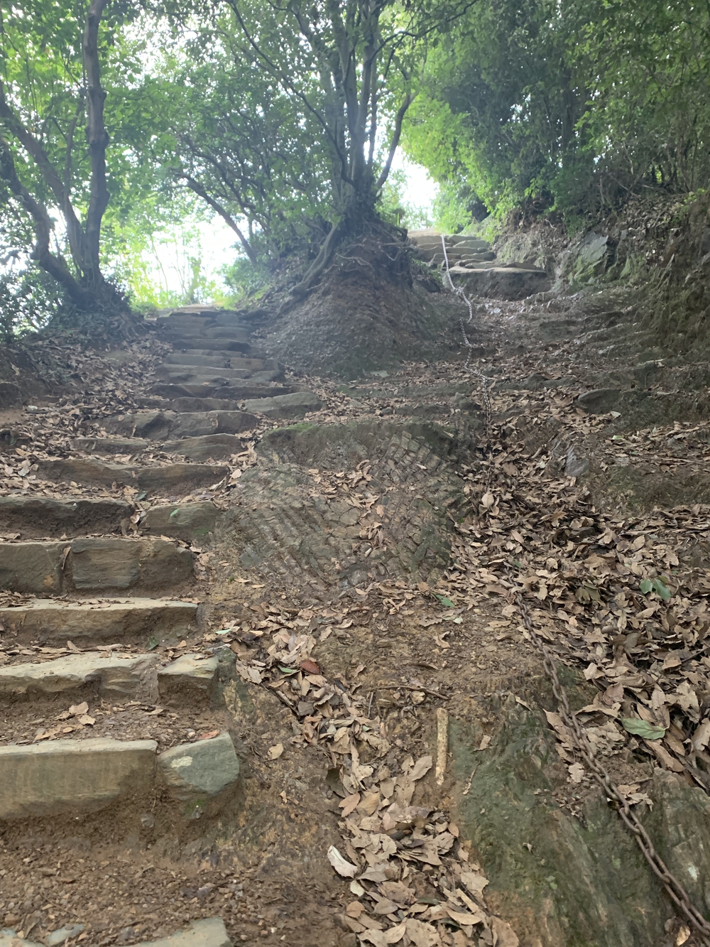 【トレイル】飯能 天覧山〜多峯主山周回の写真12