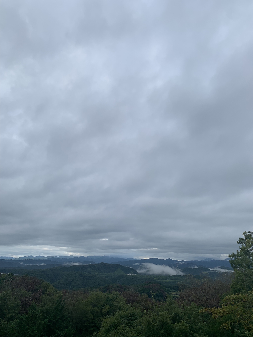 【トレイル】飯能 天覧山〜多峯主山周回の写真14