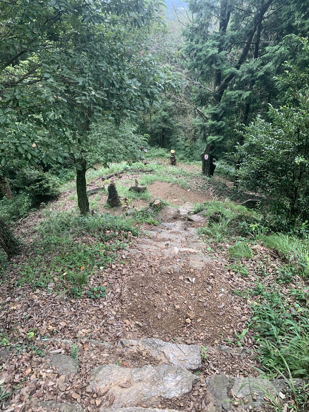 【トレイル】飯能 天覧山〜多峯主山周回の写真18