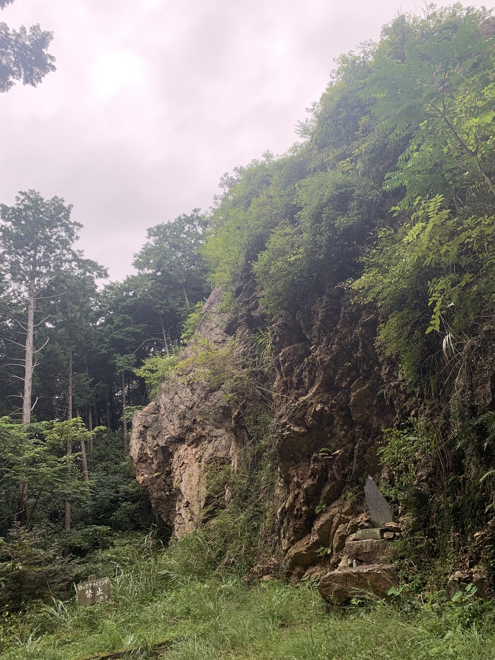 【トレイル】飯能 天覧山〜多峯主山周回の写真19