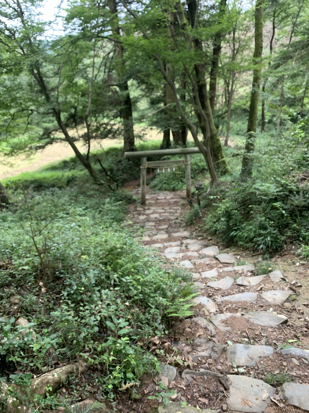 【トレイル】飯能 天覧山〜多峯主山周回の写真21