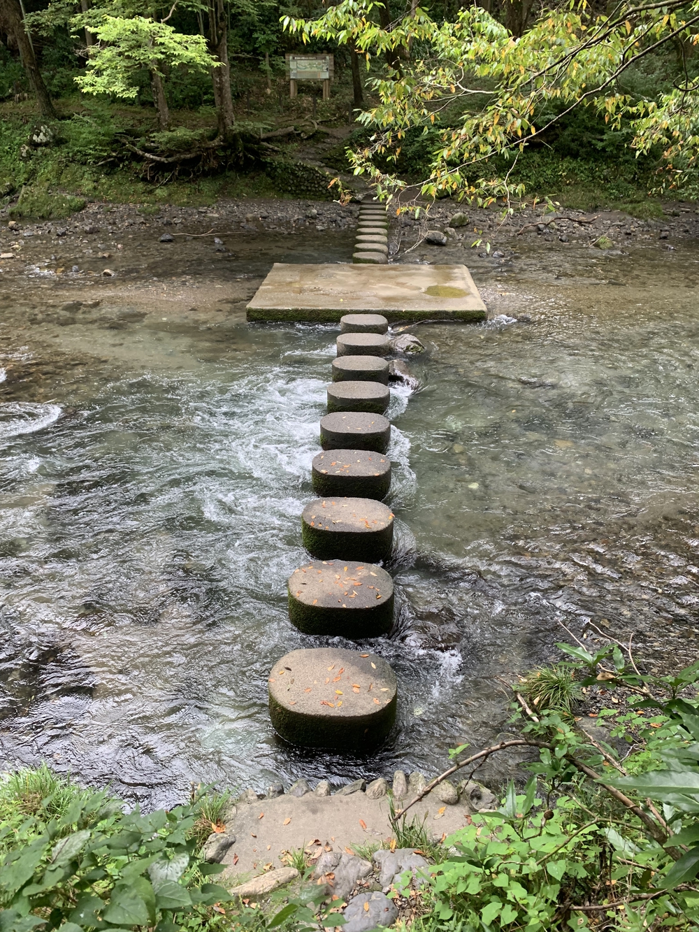 【トレイル】飯能 天覧山〜多峯主山周回の写真22