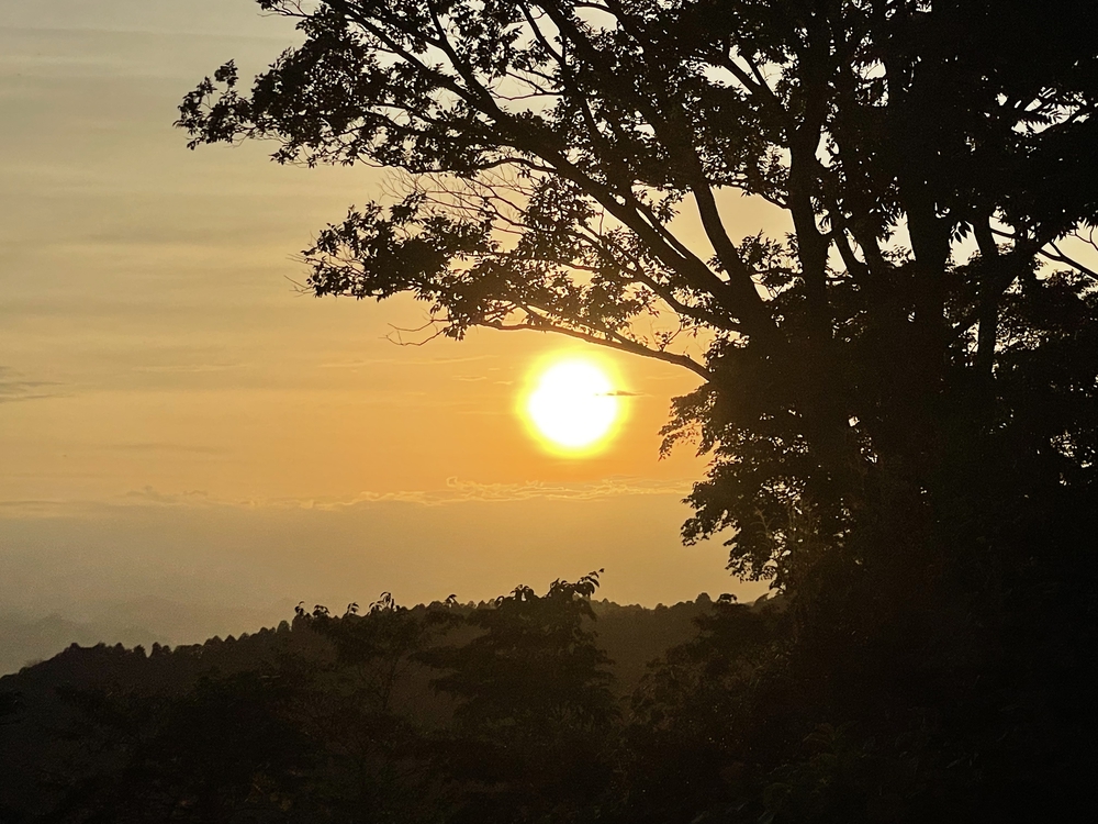 高尾山14Kmコース トレラン初心者でも楽しい！の写真5