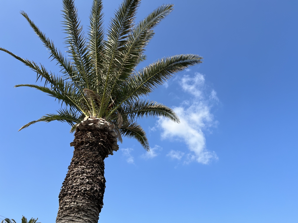 馬堀海岸から浦賀・観音崎をめぐる10kmの写真3