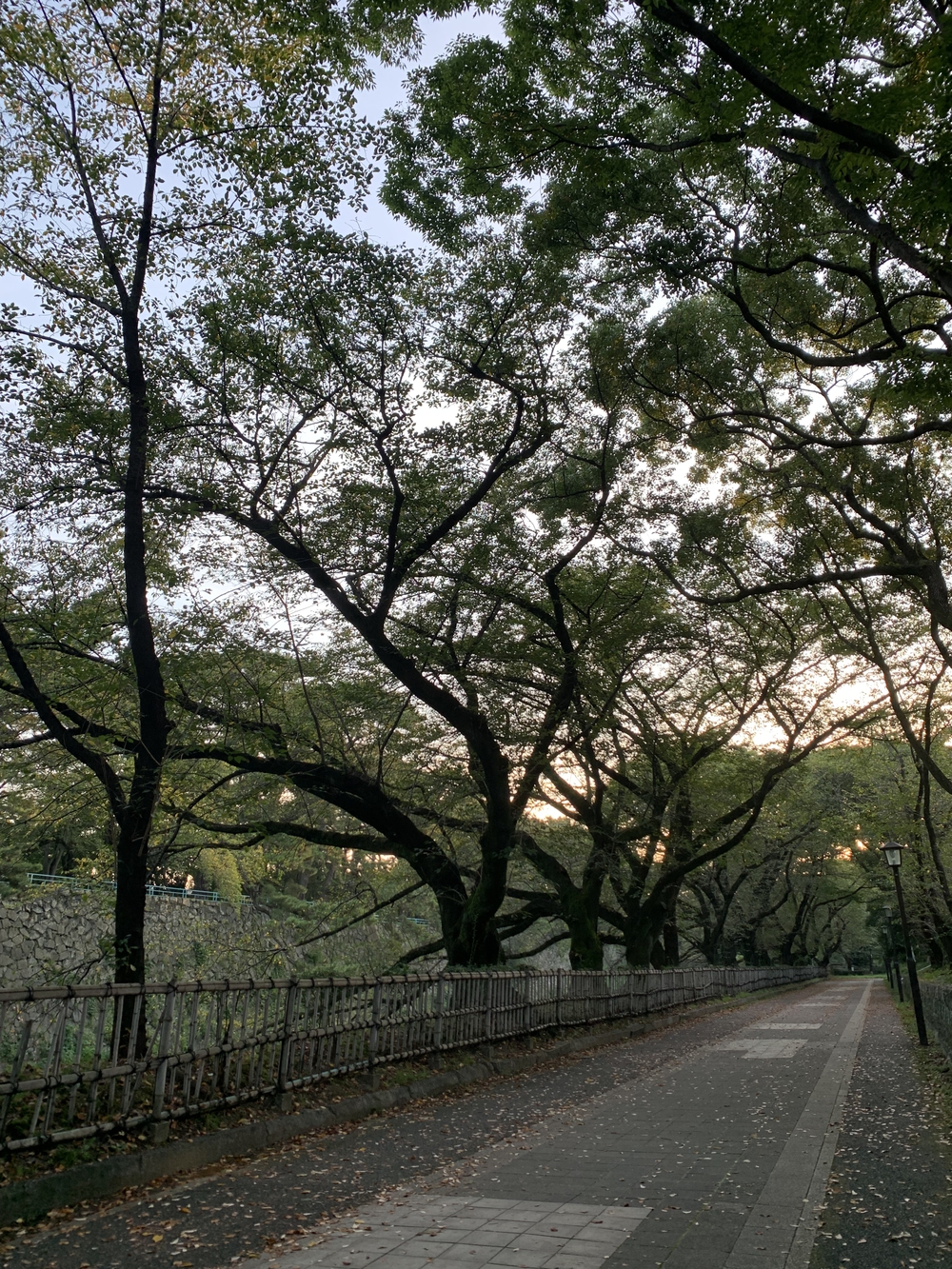 名古屋城〜名城公園周回の写真4