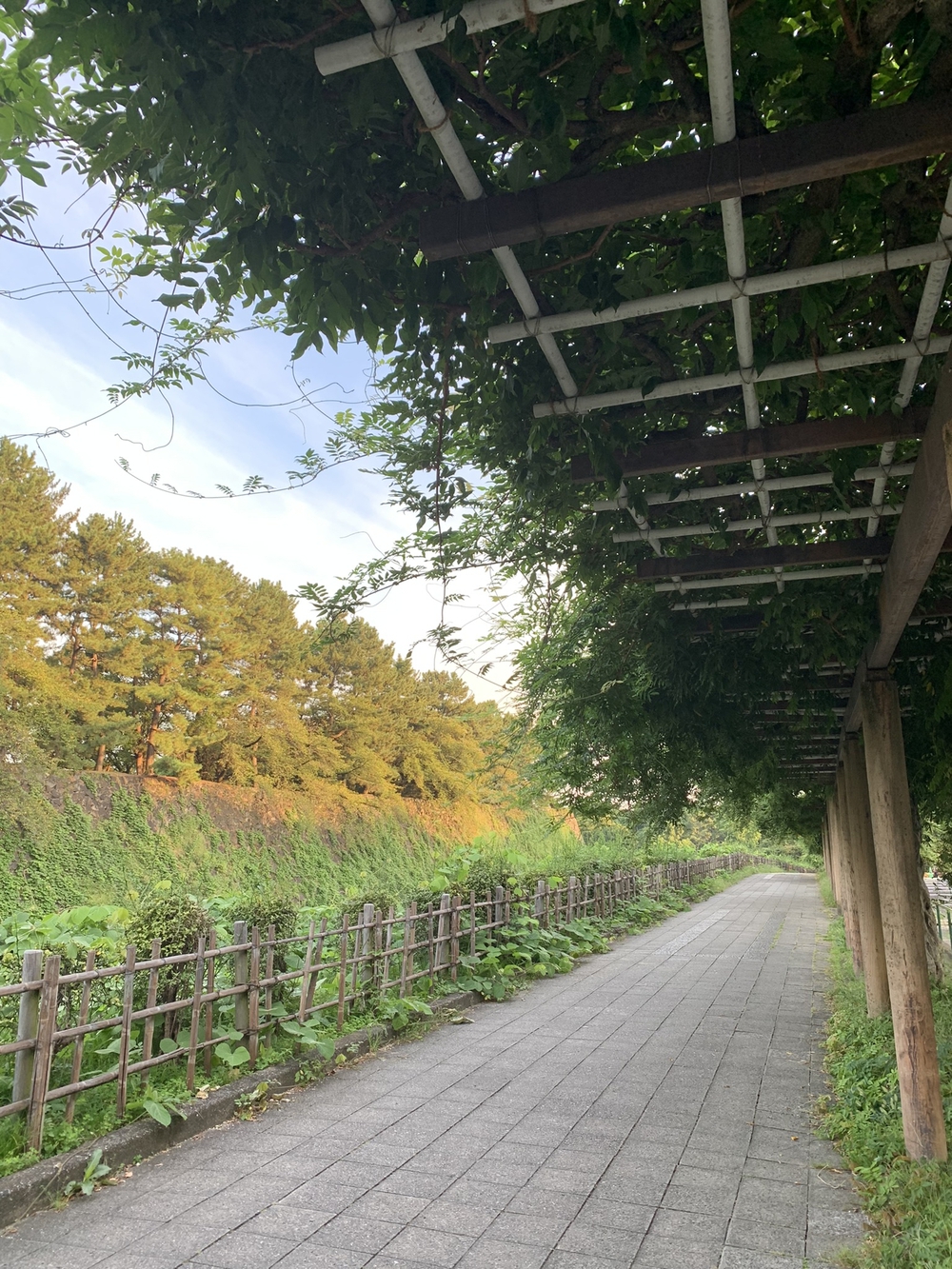 名古屋城〜名城公園周回の写真8