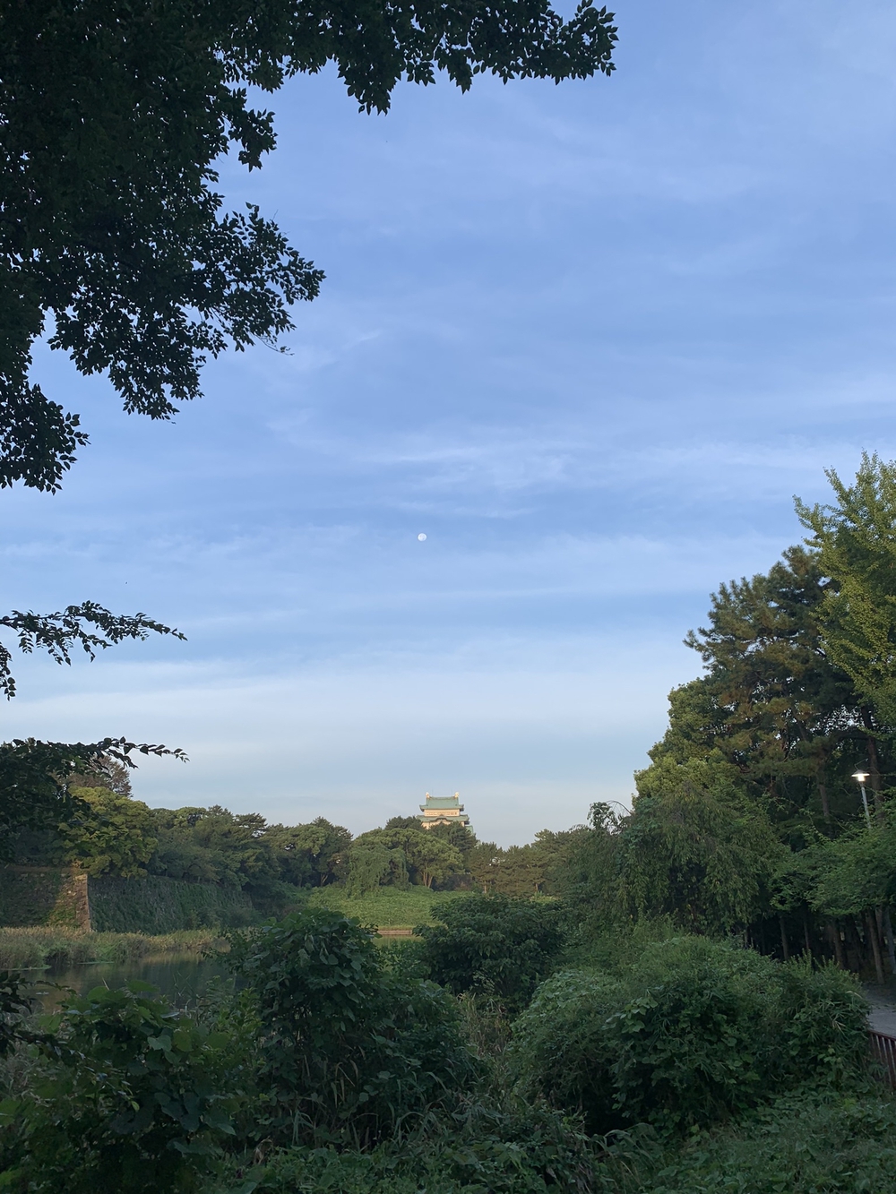 名古屋城〜名城公園周回の写真9