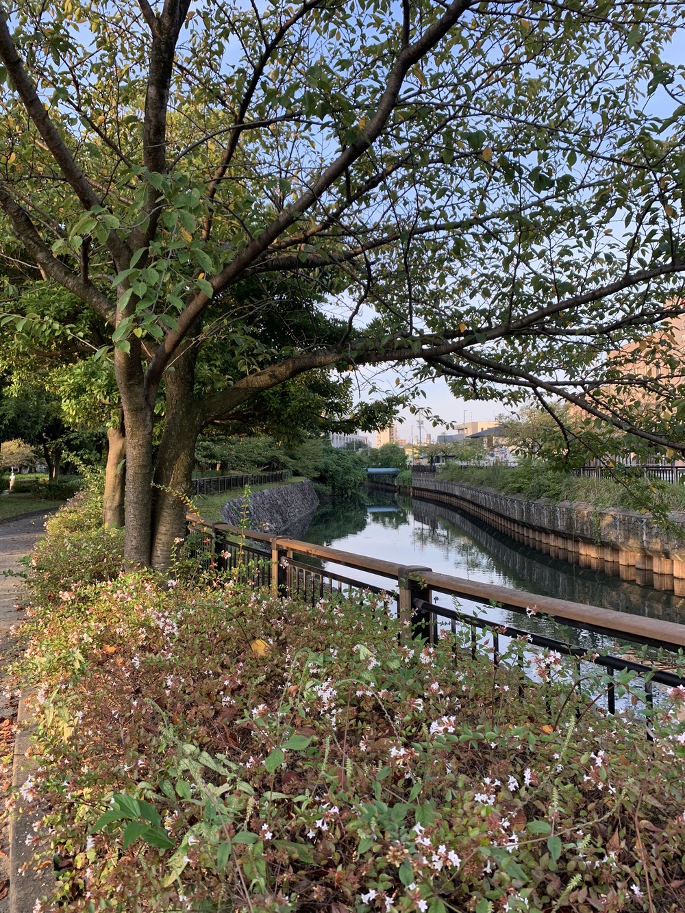 名古屋城〜名城公園周回の写真13
