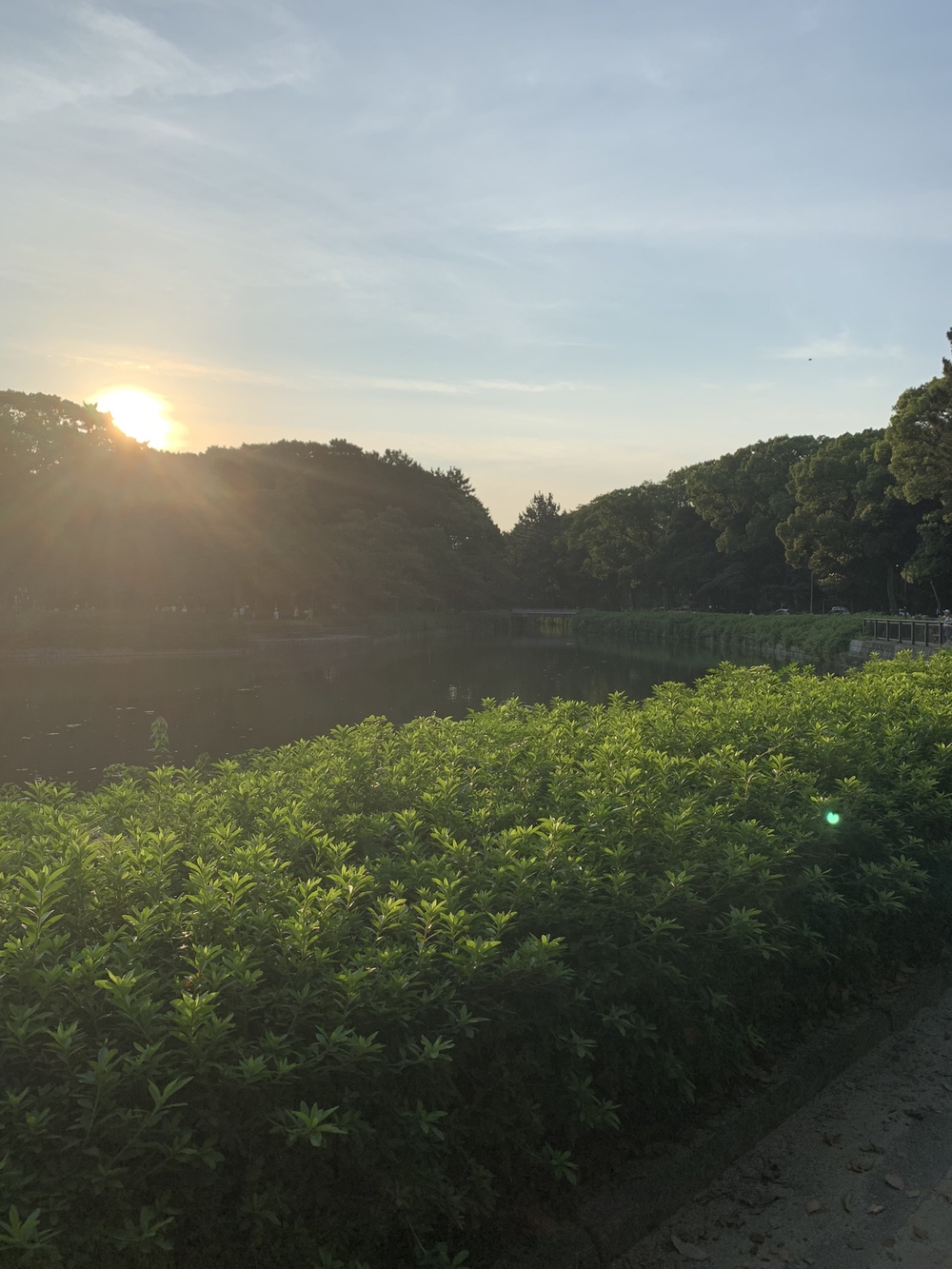 名古屋城〜名城公園周回の写真14