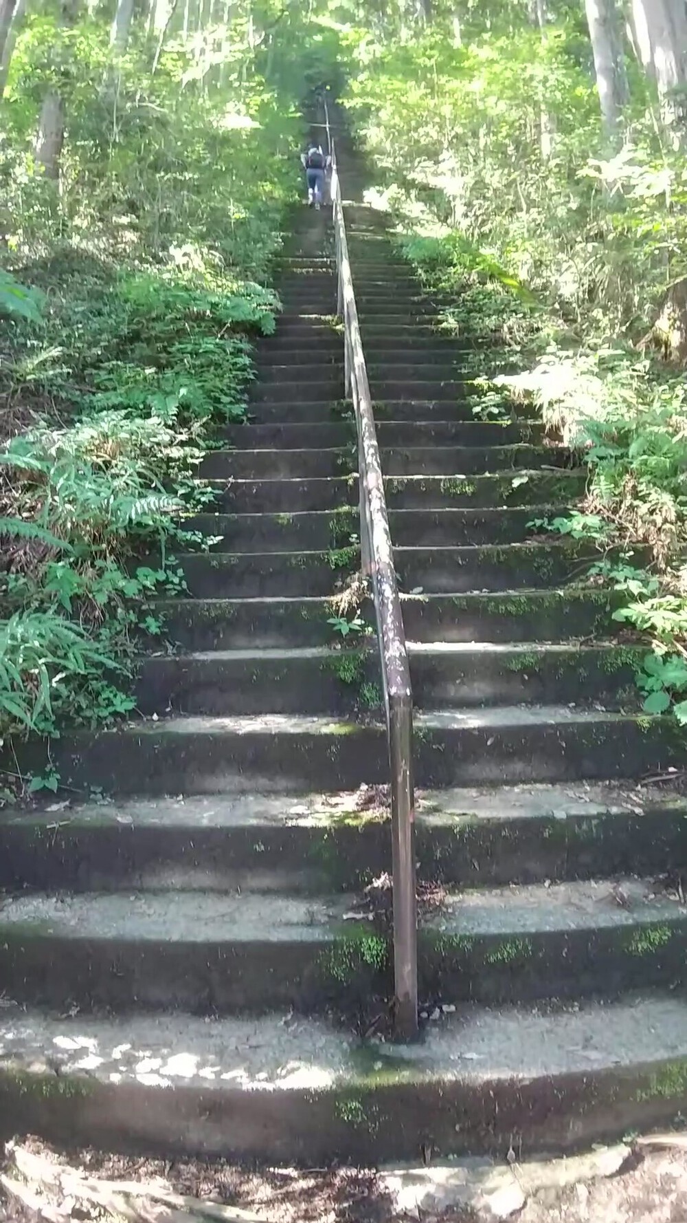 奥多摩駅～鋸山、御前山、三頭山の写真3