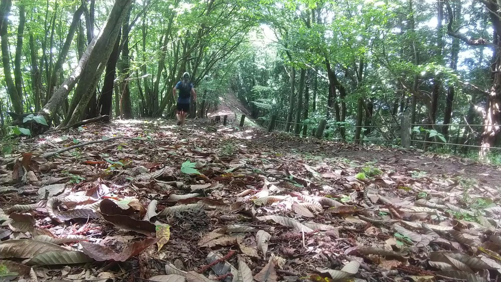 奥多摩駅～鋸山、御前山、三頭山の写真5
