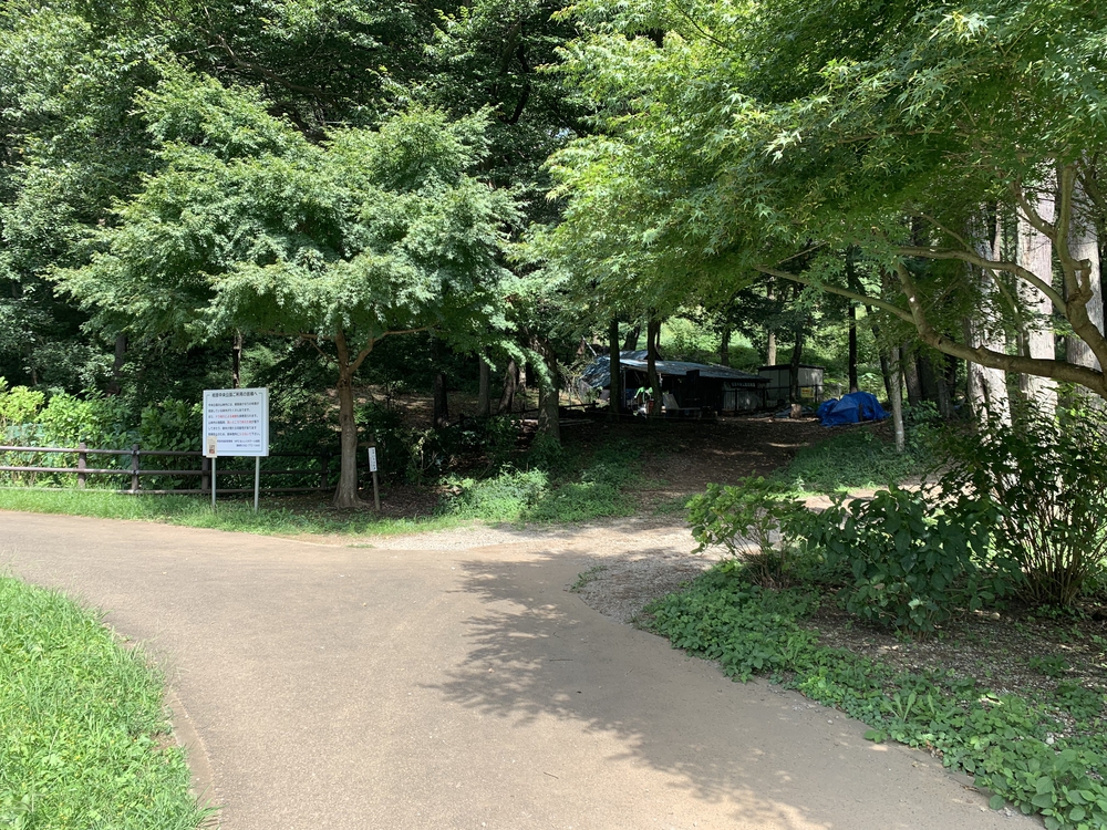 穴場！相原中央公園の散策路から自由気ままに🏃‍♂️の写真3