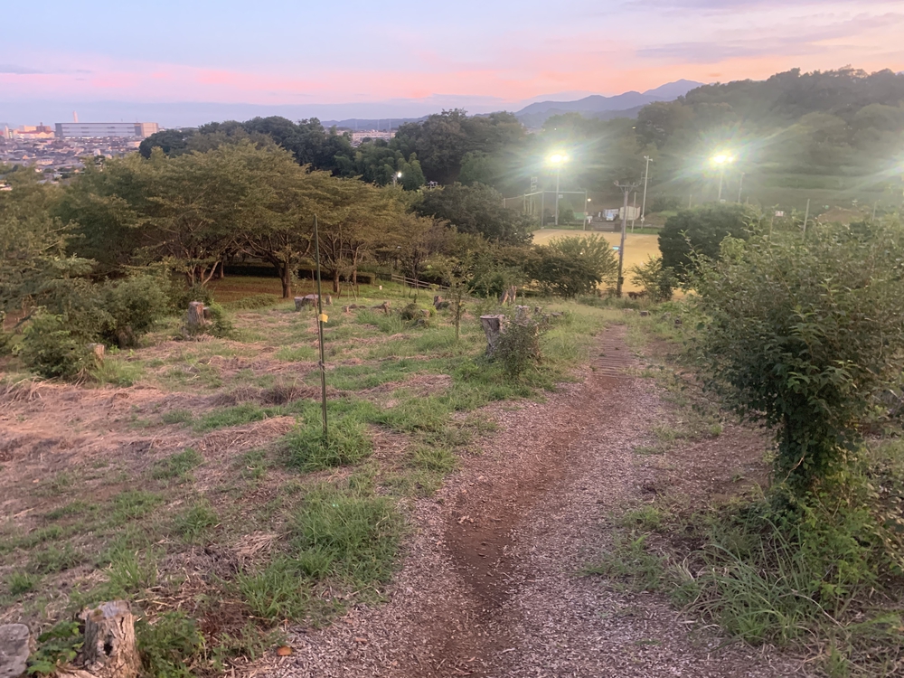穴場！相原中央公園の散策路から自由気ままに🏃‍♂️の写真4