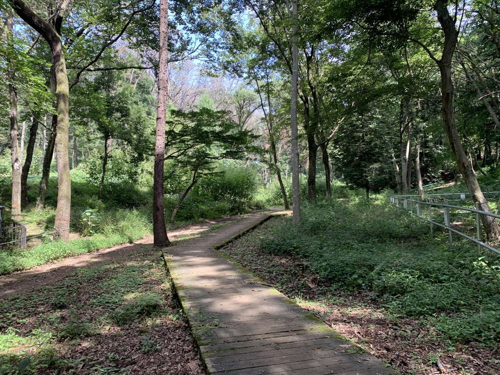 穴場！相原中央公園の散策路から自由気ままに🏃‍♂️の写真5