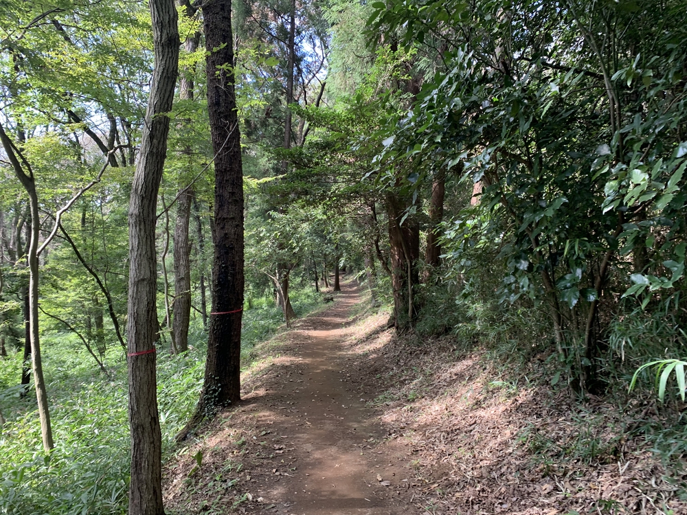 穴場！相原中央公園の散策路から自由気ままに🏃‍♂️の写真7